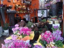 「ぐりーんろーず」宮崎市橘通東のお花屋さん｜花を贈るならお花屋さんネットワーク「イーフローラ」