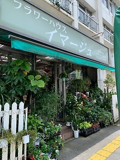 フラワーハウス イマージュ 那覇市安里のお花屋さん イーフローラ フラワーギフトや花の宅配 送料無料も多数