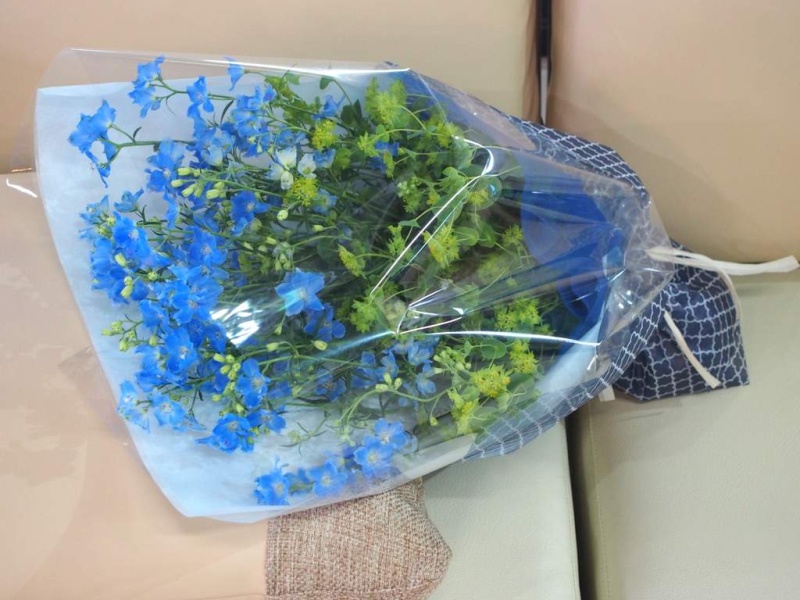 爽やかなデルフィニュームの花束 ｆｌｏｗｅｒ ｓｈｏｐ ラパン イーフローラ フラワーギフトや花の宅配 送料無料も多数