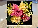 yEbht[vUzPink~YellowivU[uht[j